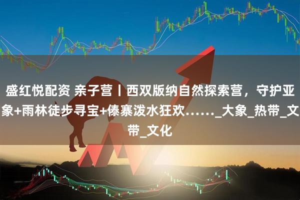 盛红悦配资 亲子营丨西双版纳自然探索营，守护亚洲象+雨林徒步寻宝+傣寨泼水狂欢……_大象_热带_文化