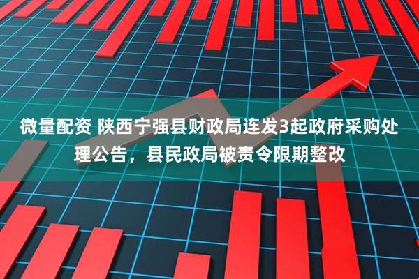 微量配资 陕西宁强县财政局连发3起政府采购处理公告，县民政局被责令限期整改
